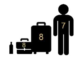 v-class-passengers-cases
